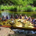 Create Listing: Wekiva River Kayak Tour