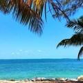 Create Listing: Key West and Florida Keys City Tour