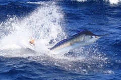 Create Listing: Private Fishing Charter on 45ft Vessel 'Grander'