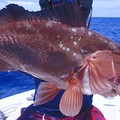 Create Listing: 6 Hr Fishing - Indian Rocks Beach