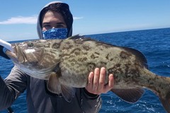 Create Listing: 8 Hr Fishing - Indian Rocks Beach