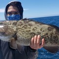 Create Listing: 8 Hr Fishing - Indian Rocks Beach