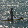 Create Listing: Casa Marina Paddleboard Rental -  1 to 8 Hours