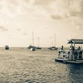 Create Listing: Castaway Downtown Tour - Ages 10 and Up •  6 People Max
