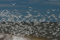 Create Listing: 10,000 Island Excursion - 3.5hrs