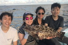 Create Listing: Four Hour Charter on "The Big Boat"