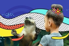 Create Listing: General Admission - (SAVE UP TO 15%)