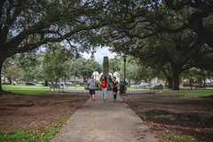 Create Listing: New Orleans City Driving Tour- 4hrs