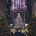 Create Listing: Holiday Lights Extravaganza  4hrs