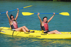 Create Listing: Mangrove Best of Kayak, Hike & Snorkel - 5hrs