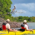 Create Listing: Sunset Kayak Tour - St. Thomas- 1.5hrs