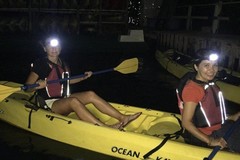 Create Listing: Night Kayak Tour - 1.5hrs