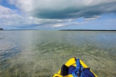 Create Listing: Full Day: Hiking & Paddling in Everglades | 13+ | 9.5 hrs  