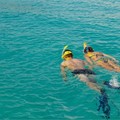 Create Listing: Snorkel Trip