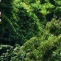 Create Listing: Zip Lines Adventures Punta Cana