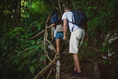 Create Listing: Gros Piton Climb